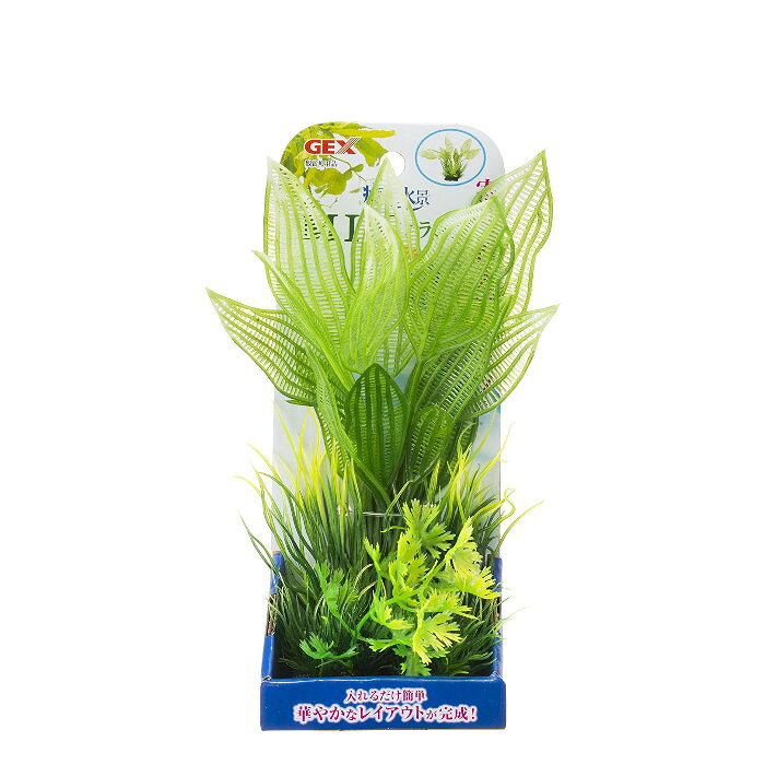 【アウトレット品】 癒し水景 MIXプランツ Mレース 寄せ植えプランツで簡単レイア...