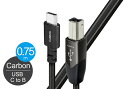 audioquest - USB2 CARBON/0.75m/CB（USB2/CAR/0.75M/CB）（USB2.0・C-B）【在庫限り・在庫有り即納】