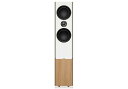 TANNOY - Platinum F6 W/zCgi1{jtAX^hXs[J[y5/7`ΉE[J[iE[͊mFゲAz