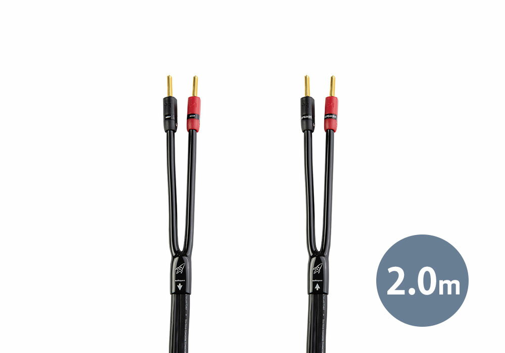 QED - Performance Audio J2J/1.5m（ミニステレオ ミニステレオ）【メーカー取寄品・納期は確認後ご連絡】