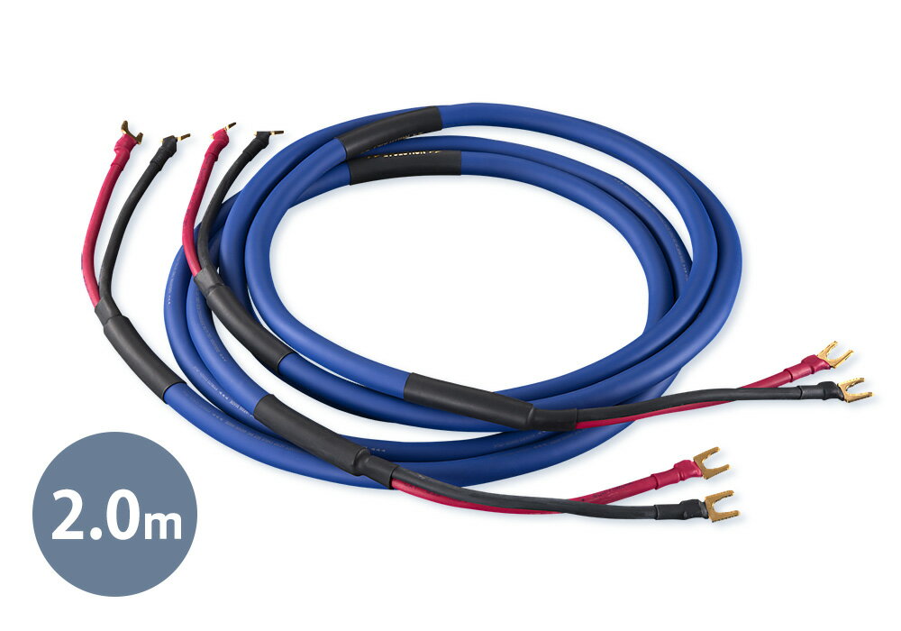 AET - EVO-1302FB-SP/2.0m/Y-Y（両端子Yラグ/ペア）スピーカーケーブル完成品【メーカー取寄品・納期は確認後ご連絡】