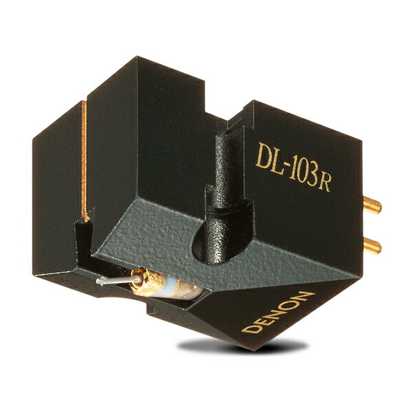 dl103r_1.jpg dl103r_1.jpg