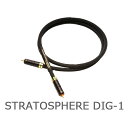 SAEC@STRATOSPHERE DIG-1/1.0mi1{j@fW^P[u@TGN@DIG1