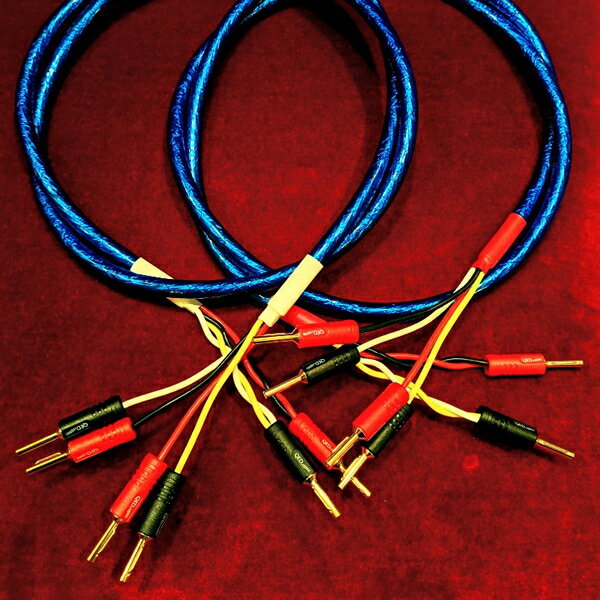 ڥ󥰥Х磻/SP¦ΤߥХ/2.5mڥZonotone6NSP-Granster5500 + QED AIRLOC ABS...