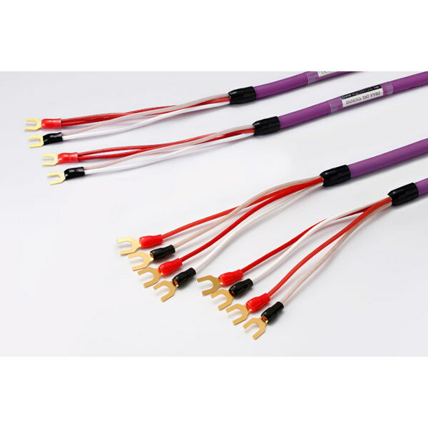 ORB　INNOVA TS7Y端子は、金メッキに上級グレード製品と同等クラスの宝飾品用高純度24Kを施したORB 『 HL-YSi 』■クラス最上級のスピード感・導体には高純度銅線、絶縁体には誘電率に優れたLDPEを新採用。優れた電気特性を確保することで力強く深みのある低域と伸びやかで透明度の高い高域を再現し、クラス最上級のスピード感・レスポンスを実現しました。■クラス最高級の解像度・S/Nの優れた4芯撚り構造の撚り精度を高めることでノイズを最適に遮蔽。さらにS/Nを高めることで繊細で鮮明な音像を再現し、クラス最高級の解像度を実現しました。