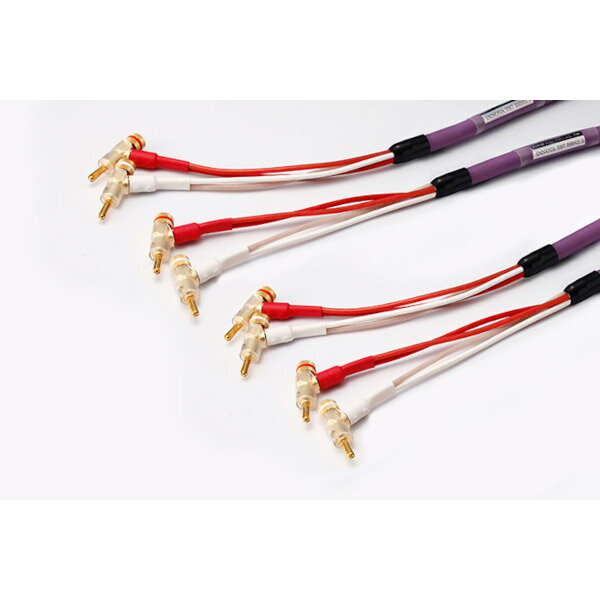 ��ξü���󥰥�磻���ORB��INNOVA TS7/BBS2�ʴ����ʡ�ξü�Хʥ�ü����2.0mx2�ܡˡ����ԡ����������֥롡������