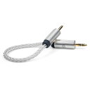 iFi-Audio 4.4mm to 4.4mm Cable アイファイオーディオ ZENシリーズ用など(2)