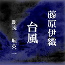 「あの人は夢ばっかり見てる人だった」その目から涙があふれた。長いあいだとめどなく流れおちた。しゃくりあげながら突然彼女は声をあげた。「でも、でも私だって夢くらい見たっていいじゃない。それがどうしてこうなっちゃうの。私たちどこがまちがってたのよ」　横浜録音図書のおなじみ「横浜CD文庫」リメイク版！