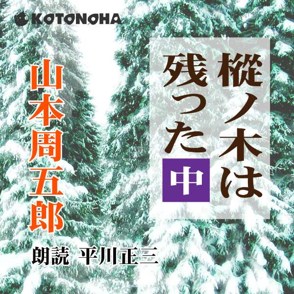 ［ 朗読 CD ］樅ノ木は残った　中 ［著者：山本周五郎] ［朗読：平川正三］ 【CD9枚】 全文朗読 送料無料 オーディオ…