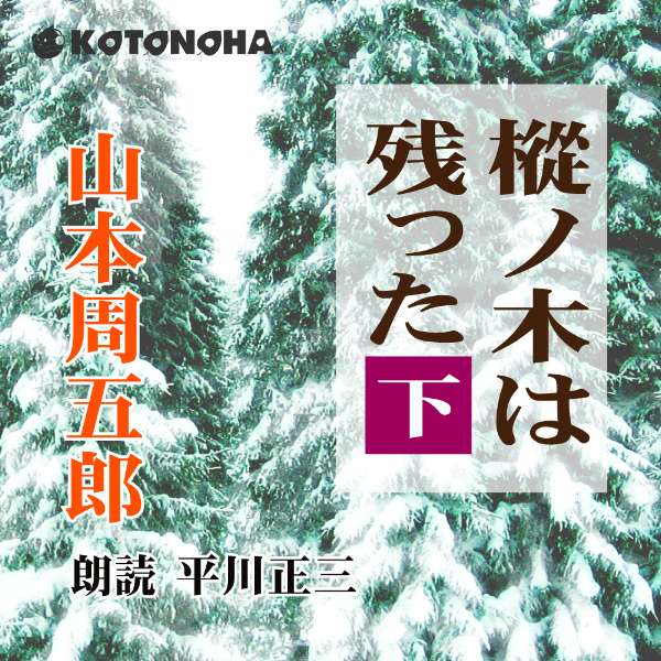 ［ 朗読 CD ］樅ノ木は残った 下 ［著者：山本周五郎] ［朗読：平川正三］ 【CD10枚】 全文朗読 送料無料 オーディオブック AudioBook