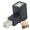 USB変換コネクタ USB2.0 L字型 L型B Bタ