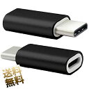 【USB-C変換アダプタ ×2個セット】USB端子変換アダプタ microBタイプソケット-Cタイププラグ ブラック microUSB to USB-C(2)