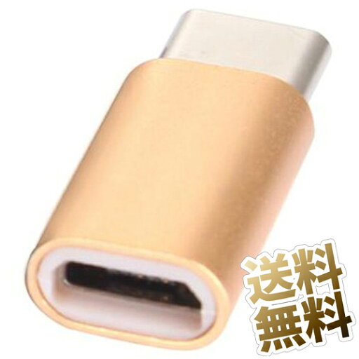 USB Type-C 変換 アダプタ microB メス から USB-C オス へ ゴールド 変換アダプタ 変換コネクタ 変換端子 Type C Switch 56K USB-IF規格 USB Type-C 変換 アダプタ microB メス から USB-C オス へ ゴールド 変換アダプタ 変換コネクタ 変換端子 Type C Switch 56K USB-IF規格
