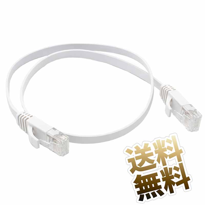LANケーブル CAT6 フラット 短い 反転構造 RJ45 接続用 ホワイト 約50cm