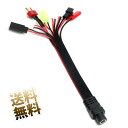 RC用 DC5.5 分岐ケーブル 2.1mm ⇒ タミヤ フタバ 8種 全長約18cm(2)