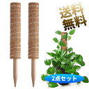 ココスティック 2本セット 約40cm モンステラ 園芸支柱 植物支柱 観葉支柱 モンステラ支柱 ココナッツパームスティック ココナッツ支柱 観葉植物 環境保護...