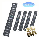 貼れる温度計 5点セット 該当温度部分が変色します ガスガン用 マガジン 温度 車内温度 水槽 温度管理 見やすい ℃表示 摂氏 華氏 表示 13×2cm ステ...