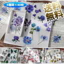 【4種類×40枚ずつ=160枚入】花 シール ステッカー 透明シール 大きめ 葉 動物 DIY 手作り日記 ダイアリー カレンダー アルバム 家計簿 スーツケースステッカー ノート パソコン スマホ 自転車 ヘルメットギター 防水シール フレークシール 手帳シール 97mm*55mm