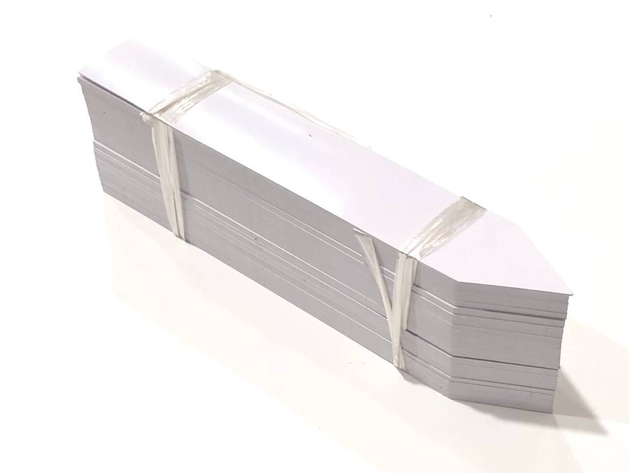 【100点セット】 園芸用ラベル 短冊形 A 25cm × 4cm 鉢植の植物名表示に ビッグサイズ 大きくて見やす..