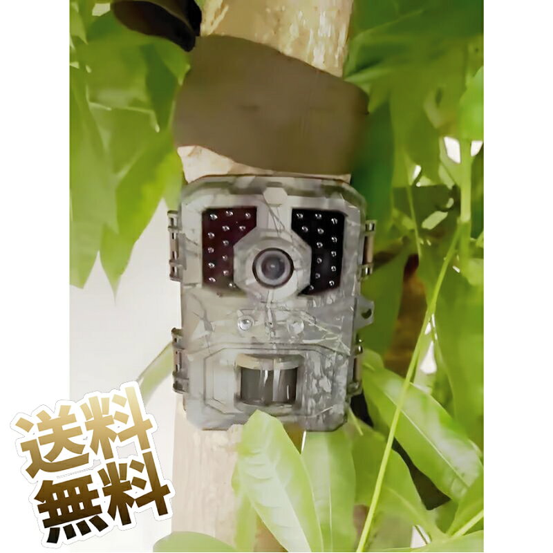 トレイルカメラ 超ミニ防犯カメラ 4K 防水 ナイトビジョン 暗視カメ ラ 動体検知 赤外線人感センサー m..