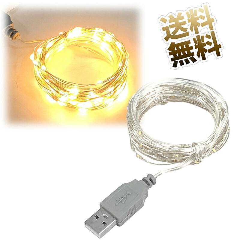 LEDイルミネーションライト 10M 100球 室内 屋外 ストリングライト USB式 銅線 ワイヤーライト クリス..