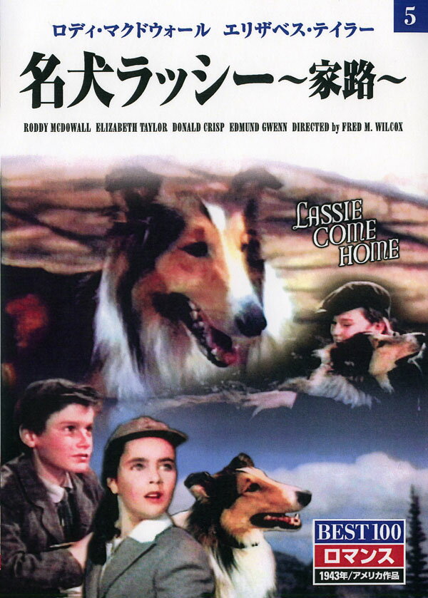 【1628円以上送料無料・新品】【名犬ラッシー～家路～】名作クラシック映画