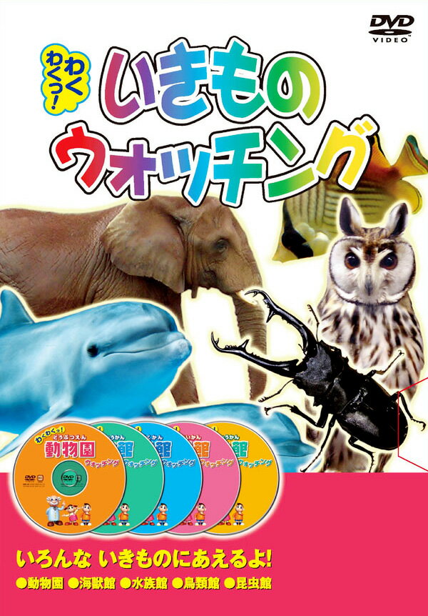 【1628円以上送料無料・新品】いきもの　ウォッチング 《5枚組（全34集）》