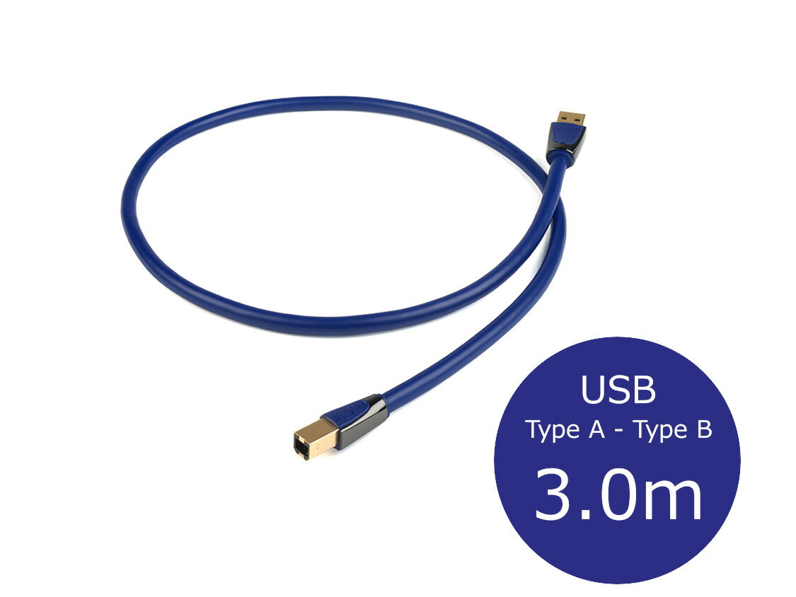 楽天オーディオユニオン楽天市場店THE CHORD COMPANY ザ・コード・カンパニー Clearway USB USBケーブル （TypeA→TypeB/3.0m/1本）［国内正規代理店品］