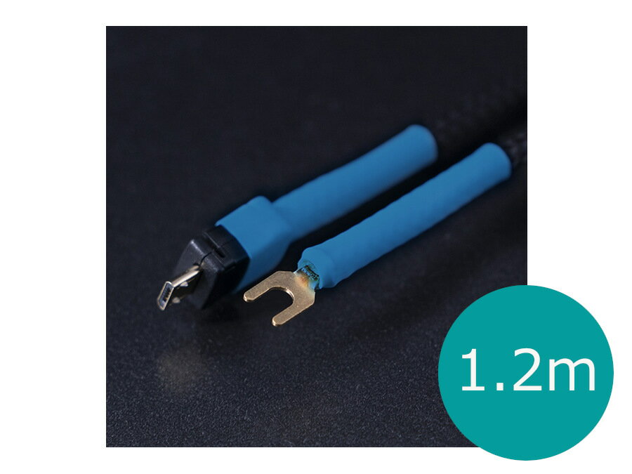 KOJO TECHNOLOGY Clone2UmB USB TYPE mircroB-Y型端子(M4推奨) アースケーブル 1.2m