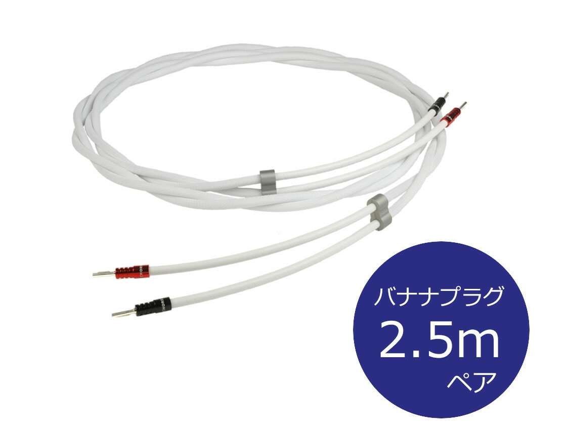 THE CHORD COMPANY Sarum T Speaker Cable-Ohmic 2.5m バナナ ザ・コード・カンパニー スピーカーケーブル ペア［国内正規代理店品］