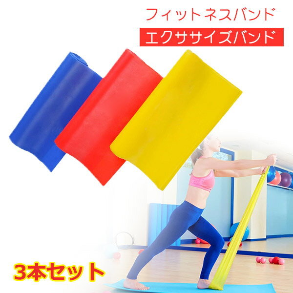 フィットネスバンド 3本セット エクササイズバンド ループバンド トレーニング チューブ ヨガバンド レ..