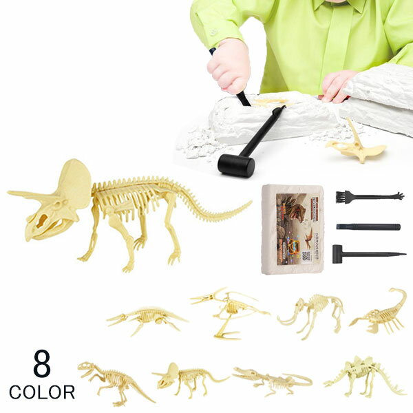 恐竜化石発掘キット おもちゃ 実験キット 模型 考古学的発掘おもちゃ DIY恐竜掘りキット 恐竜化石 3D 組み立て 考古 …