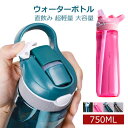 ウォーターボトル 水筒 ジム 750ml ストロー 直飲み 携帯便利 ジム スポーツ水筒 ハングバックル付き 水分補給 クリア ボトル 洗いやすい 軽い 飲みや...