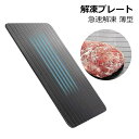 解凍プレート 急速解凍 業務用 家庭用 自然解凍 冷凍食品対応 解凍板 解凍ツール 高速解凍トレイ 解凍まな板 自然解凍プレート冷凍食品 解凍 肉 刺身 鮮度維...