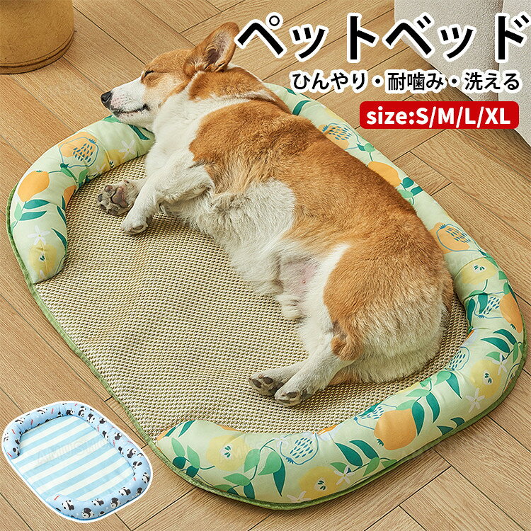 樂天商城 - ペットベッド 夏用 猫用ベッド 犬 ベッド 夏用 洗える 猫 犬用 ペットベッド 接触冷感 枕付き 籐マット 小 中型犬 涼しい 暑さ対策 ひんやりマット クールマット ペットクッション お手入れ簡単 通気 滑り止め おしゃれ ドッグベッド ねこマット