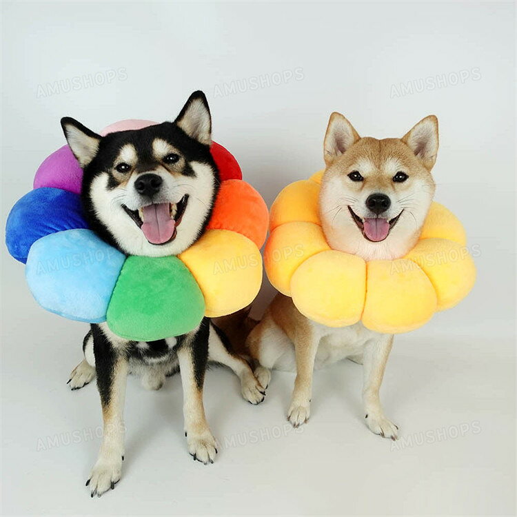 エリザベスカラー 犬 猫 ソフト 柔らか エリザベスカラー 猫用 犬用 ペット用品 ソ...