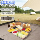 【今日限定!ポイント10倍】レジャーシート 厚手 200×200 大きい レジャーシート 洗える 厚手 大判 遠足 子供 おしゃれ クッション ペグ 大きい ピ...