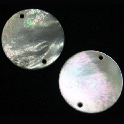 樂天商城 - [HC002]蝶貝　白　2穴　丸20mm　2ケ(LB18933-20)[RPT]