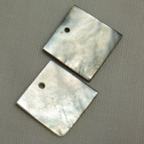 [HC001]蝶貝　黒1穴　四角15mm　2ケ