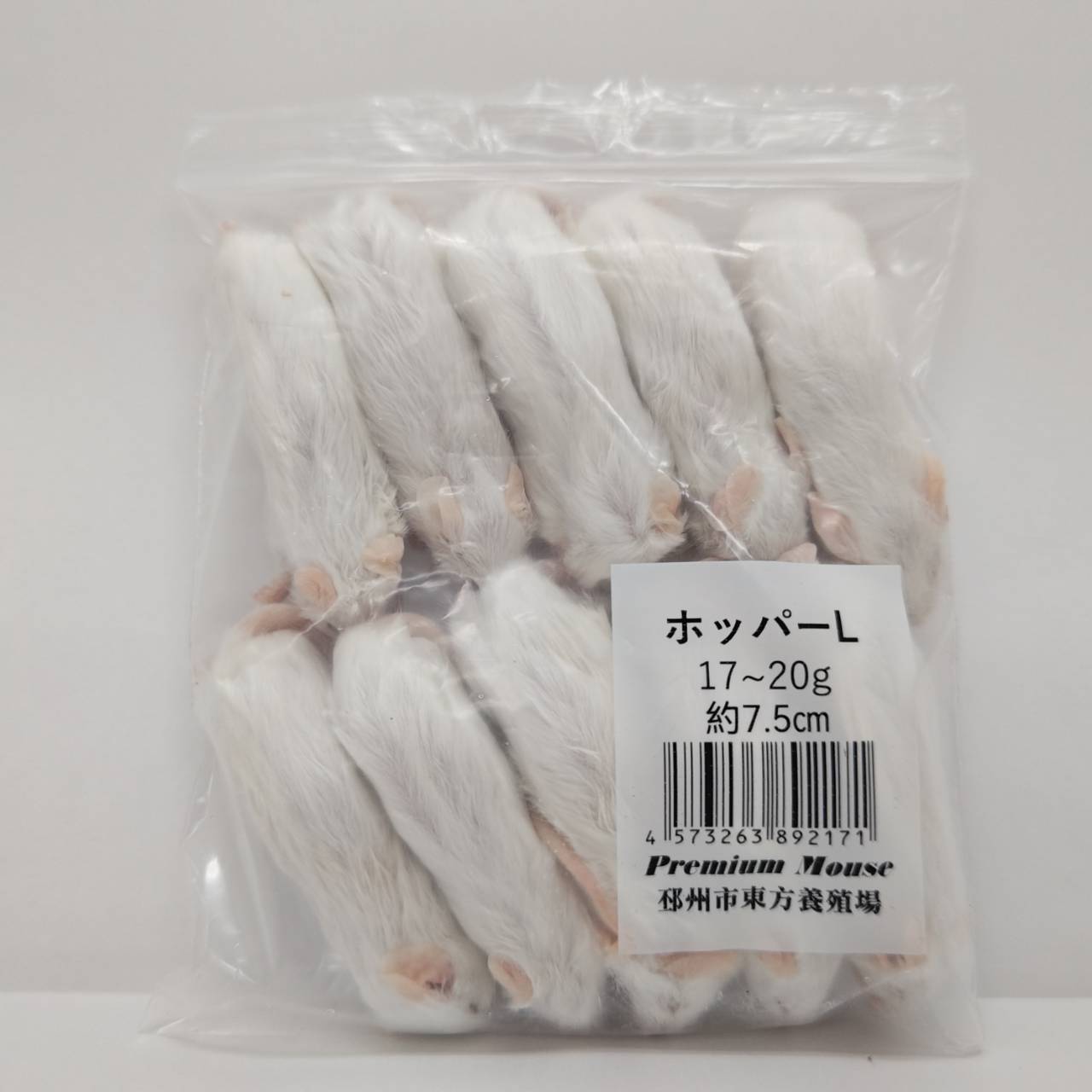 楽天市場】ホッパーマウスの通販 楽天市場】ホッパーマウスの通販