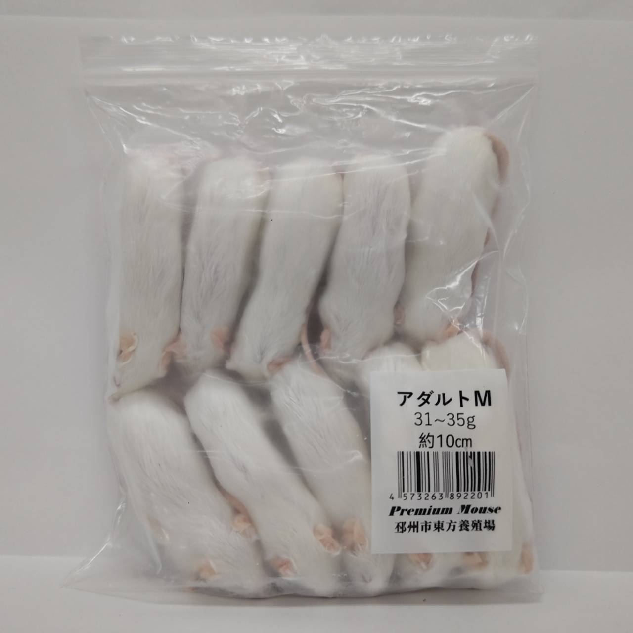 ͸ڥե ץߥޥ M 31g~35g 10cm  ξ ȥ إ   ޥ 