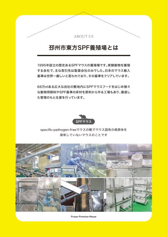 ͸�ڥե����� ����ץ�ߥ���ޥ��� �ԥ�S 1g~2g ��3cm ����� ξ���� �ȥ��� �إ� ���� ����� ����ޥ��� ����