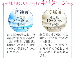 美ルルスキンチェッカーbeluluskinchecker肌チェッカー肌質3秒水分量油分量ハリ弾力うるおい測定【メール便不可】
