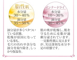美ルルスキンチェッカーbeluluskinchecker肌チェッカー肌質3秒水分量油分量ハリ弾力うるおい測定【メール便不可】