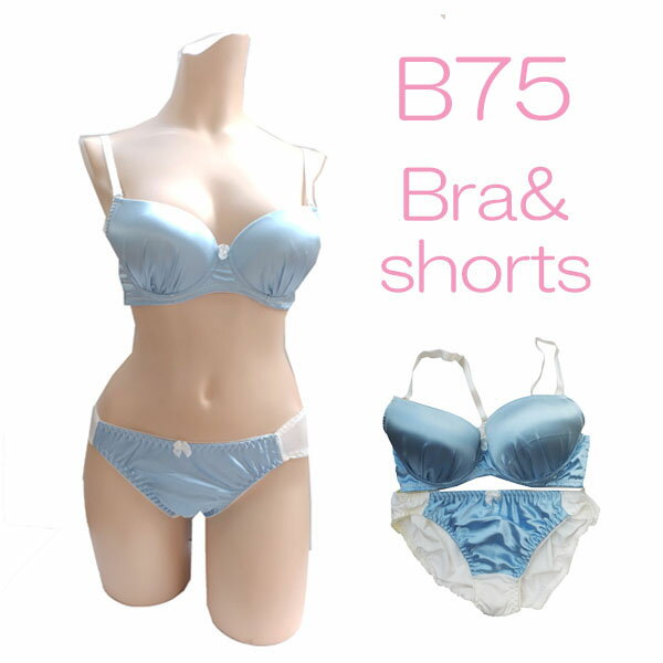 ƥ֥饷硼ĥåȥåץ֥롼B75ȥåƥϤĤäȤϤäȤϥʡ売å