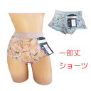 一部丈パンツ ショーツ デイリー パンツ インナー レディースショーツストレッチ ボタニカル柄 植物 セクシー SEXY PINK BLUE ピンク 桃色 ブル...