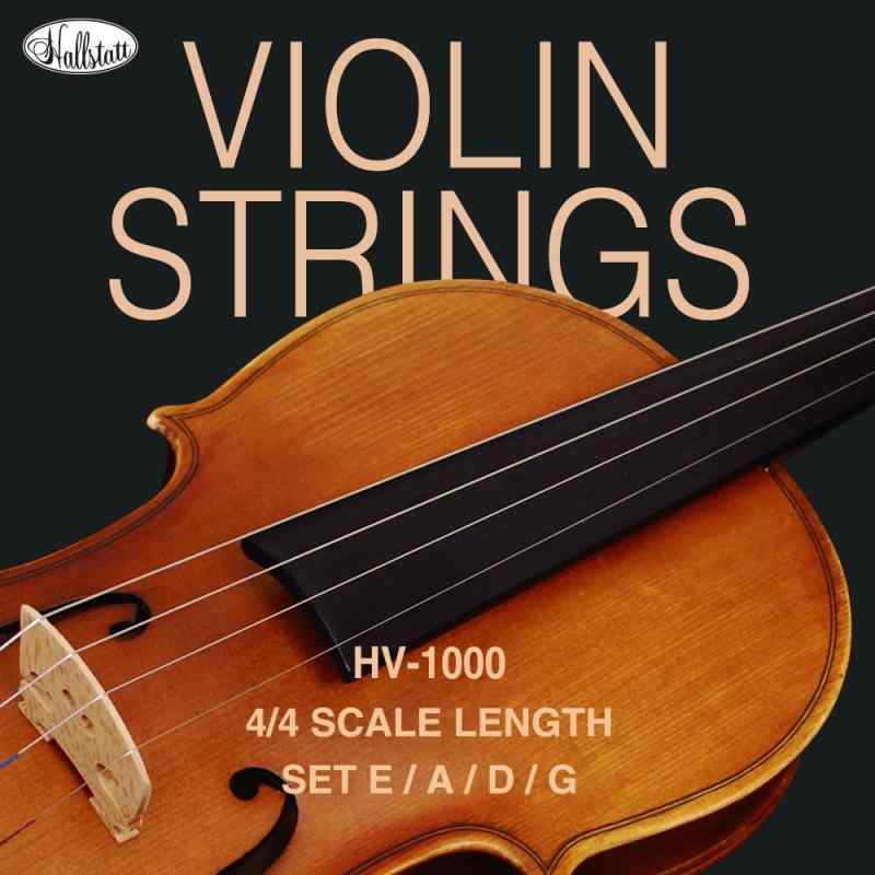 ӥ㤨Hallstatt ϥ륷奿å  å HV-1000פβǤʤ1,848ߤˤʤޤ