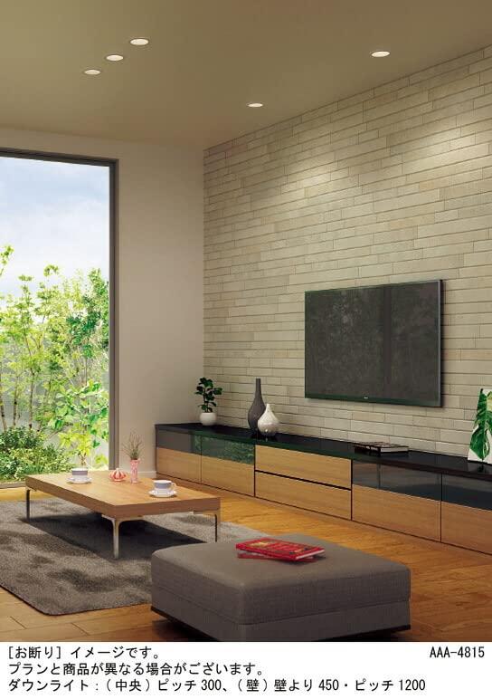 パナソニック(Panasonic) 天井埋込型 LED温白色 ダウンライト 浅型8H・高気密SB形・拡散マイルド・φ125 60形 ホワイト LSEB5130LE1