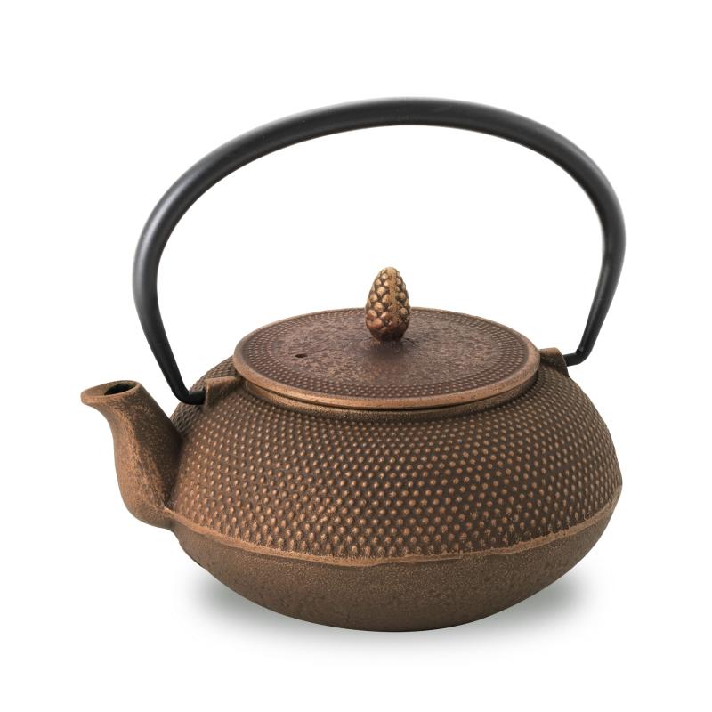 樂天商城 - ロジアソシエイツ 南部鉄器 鉄びん 急須 アラレ 600ml 日本製 カラー ティーポット ホーロー 小さめ 鉄瓶
