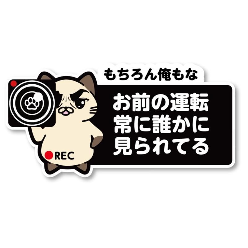 SignStore カメラを構える猫の交通安全ステッカー 8cm×16cm ビニール 日本製 car_character_01